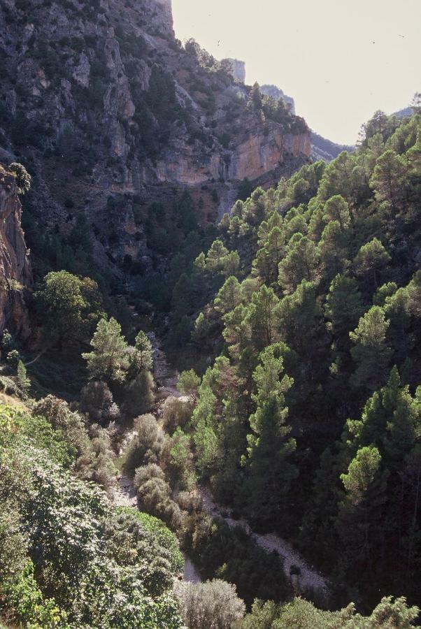 Mirador Del Mundo * Yeste (Albacete)