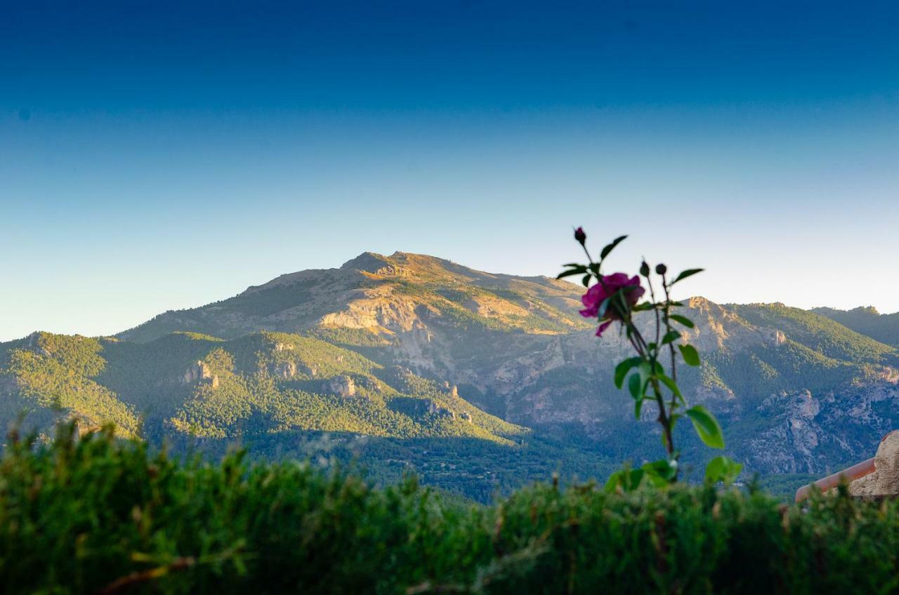 Séjour à la campagne Mirador Del Mundo Yeste (Albacete)