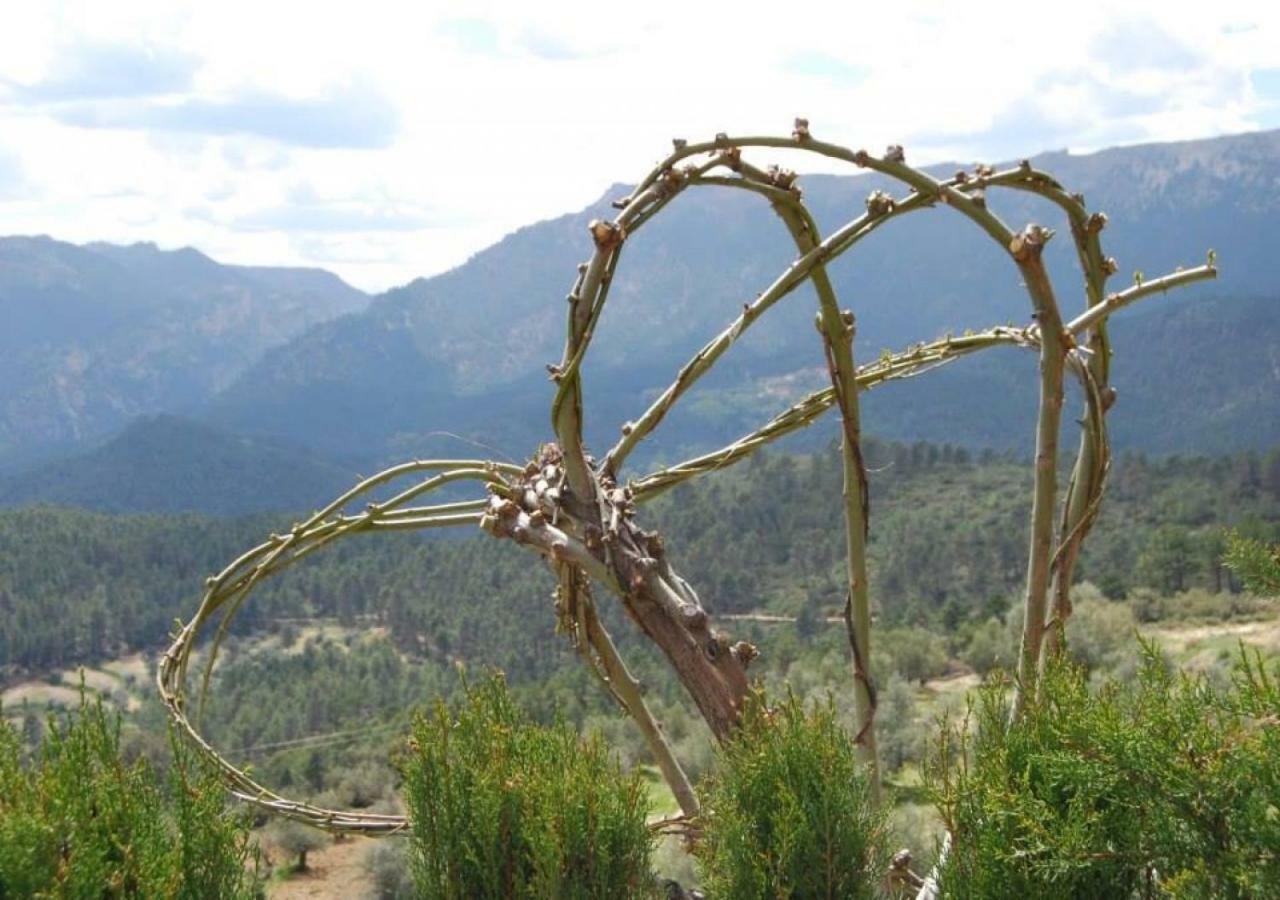 Mirador Del Mundo Yeste (Albacete)