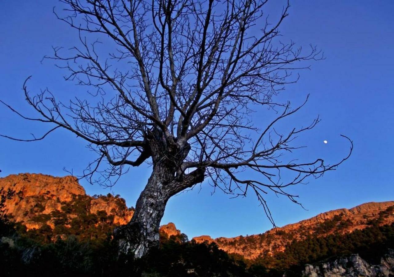Mirador Del Mundo * Yeste (Albacete)
