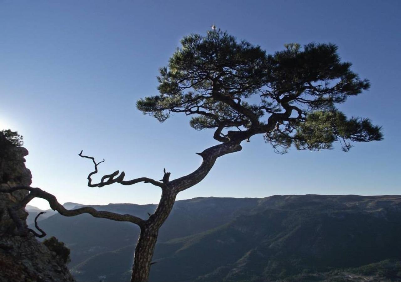 Mirador Del Mundo Yeste
